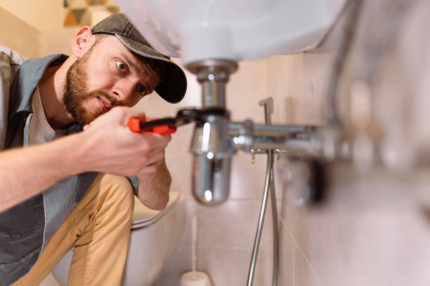 Best Clogged Drain Plumber  in Shullsburg, WI