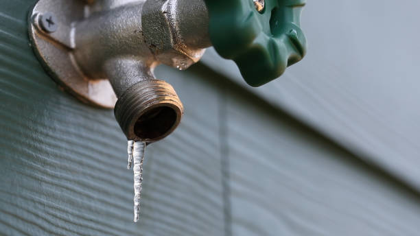 Best Plumbing Services Near Me  in Shullsburg, WI