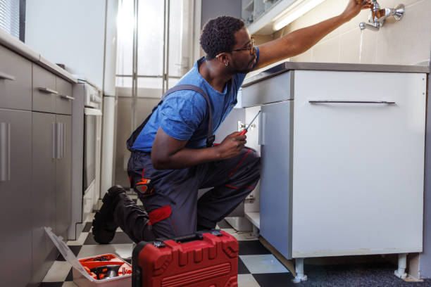 Best Toilet Repair Services  in Shullsburg, WI